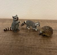 Schleich 3 Wald Tiere 2x Waschbär als Familie 1x Igel im Set Nordrhein-Westfalen - Rahden Vorschau