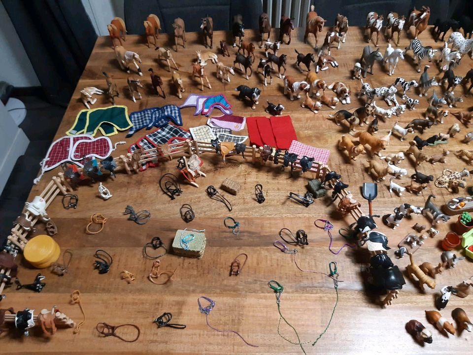 Riesen Schleich Sammlung in Homburg