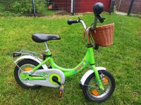 Puky Fahrrad Kinderfahrrad 12 Zoll Ali kiwi grün Hannover - Kirchrode-Bemerode-Wülferode Vorschau