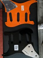 Fender Pickguards SSS Güstrow - Landkreis - Güstrow Vorschau