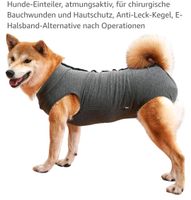 Body für Hunde Dithmarschen - Eggstedt Vorschau