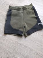 Puma Shorts Sweatpants Niedersachsen - Schöningen Vorschau