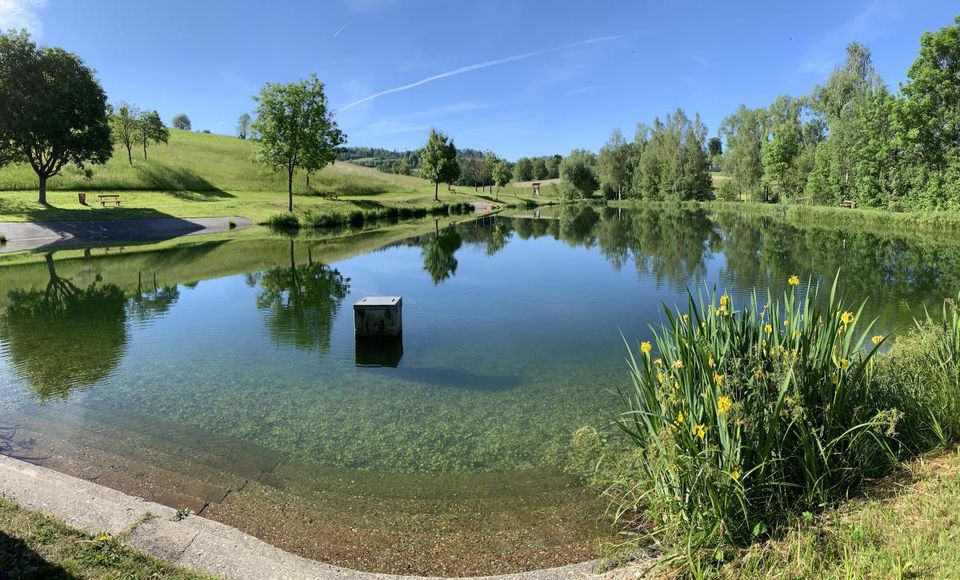 * Ferienwohnung im Grünen * - Nähe Jandelsbrunn, Bayerischer Wald in Jandelsbrunn