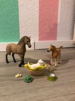 Schleich Pferd Pony Fohlen Hund Welpe Baby Niedersachsen - Nordhorn Vorschau