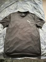 Puma Dry fit Shirt Nordrhein-Westfalen - Warburg Vorschau