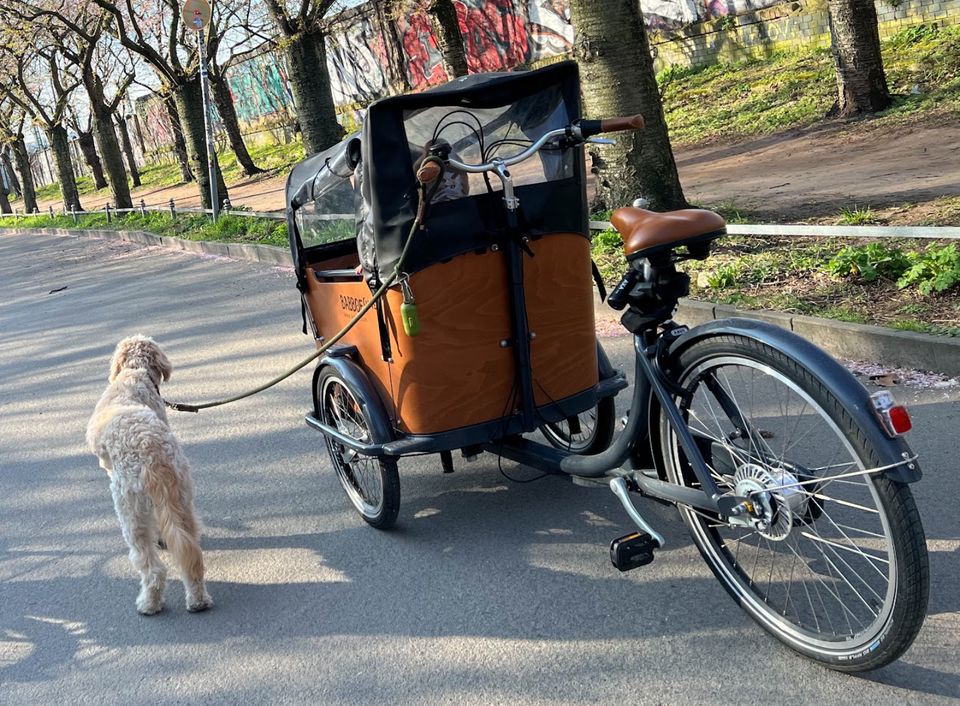 Lastenrad Babboe Curve inkl. Zubehör in Berlin