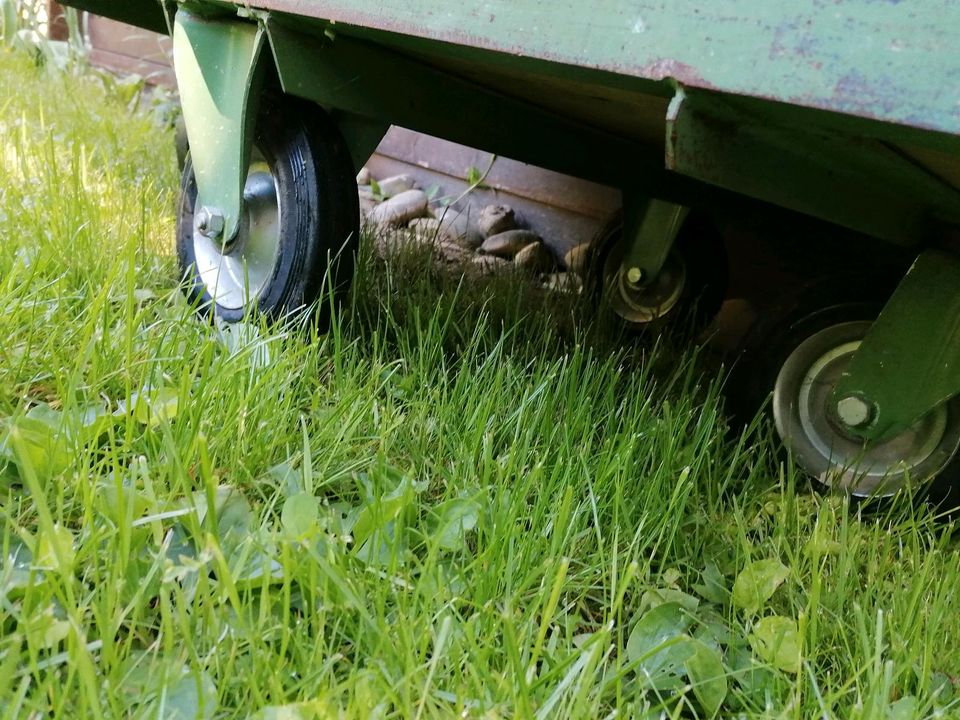 Transportwagen in Villingen-Schwenningen