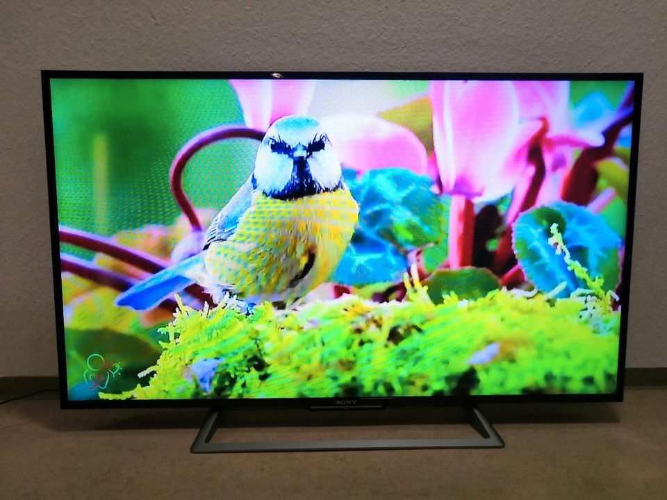 Sony Bravia KDL-48R555C, 48 Zoll,Full HD, Smart TV in Konstanz