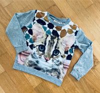 MOLO ⭐️ Pullover ⭐️ Shirt ⭐️ Skandi ⭐️ Katze Nordrhein-Westfalen - Bocholt Vorschau