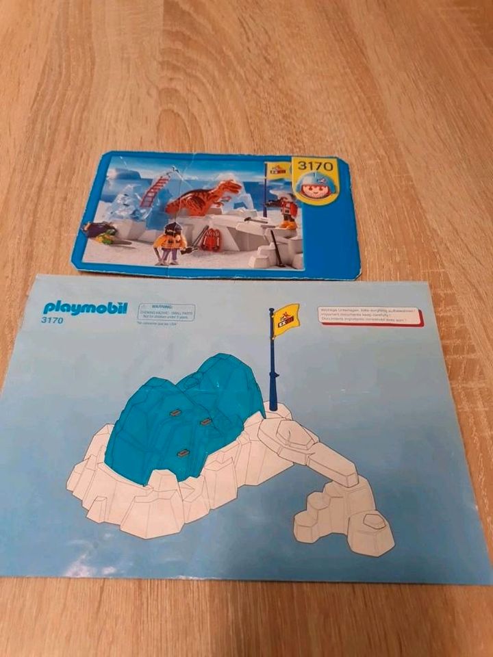 Playmobil Dino + Dinoei im Eisberg 3170 in Sonthofen