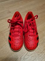 Adidas Fußballschuhe Hallenschuhe Turnschuhe rot Baden-Württemberg - Konstanz Vorschau