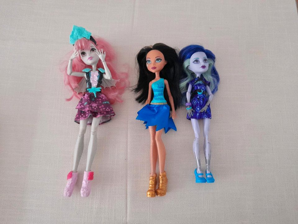 Monster High Set in Olsbrücken