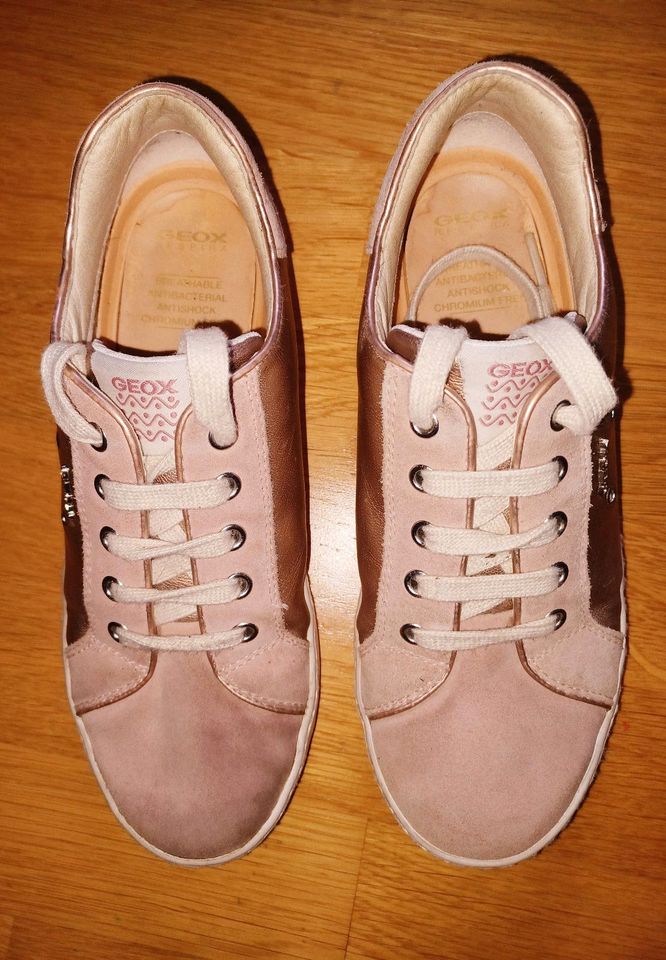 Leder ☆ GEOX ☆ rosè Gold ☆ Gr 36 Sneaker in Engen