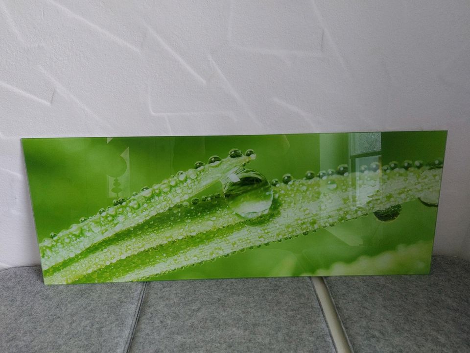 Glas Bild 30 x 80 cm Bambus Wasser Tropfen deko in Raitenbuch