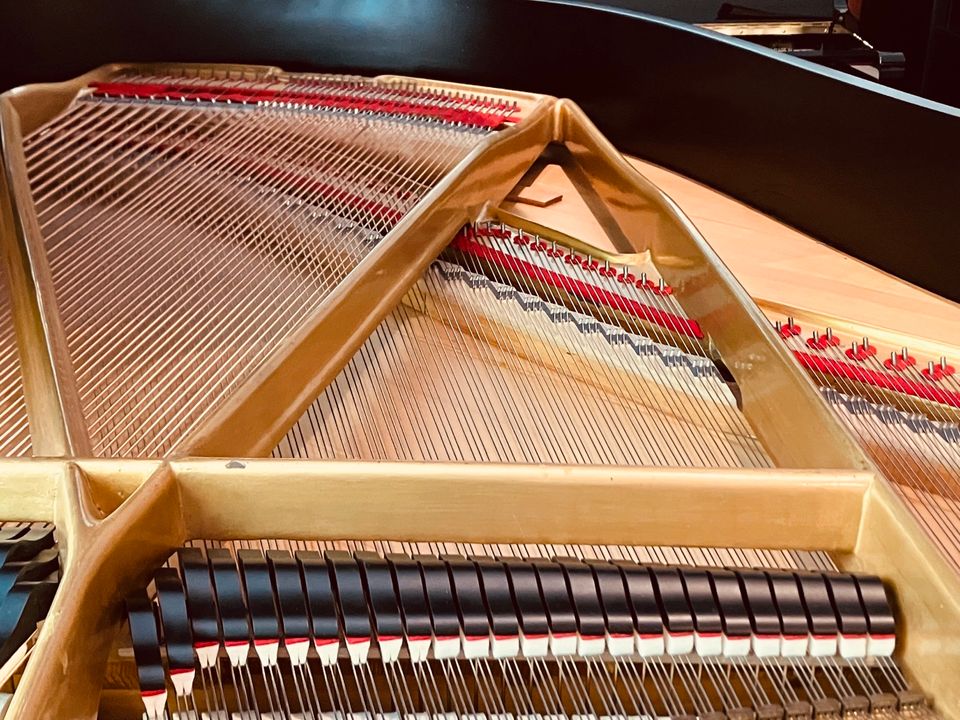 Grotrian-Steinweg Flügel G-170 • Garantie • Salonflügel in Berlin