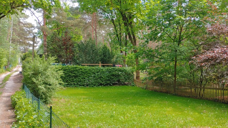 Ruhiges Gartengrundstück in Ferch⭐ Garten Grundstück ✅Erschlossen in Ferch