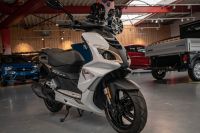 Peugeot Speedfight 4 Sportline 50ccm Roller 45km/h ab 15 Jahre Nordrhein-Westfalen - Rüthen Vorschau