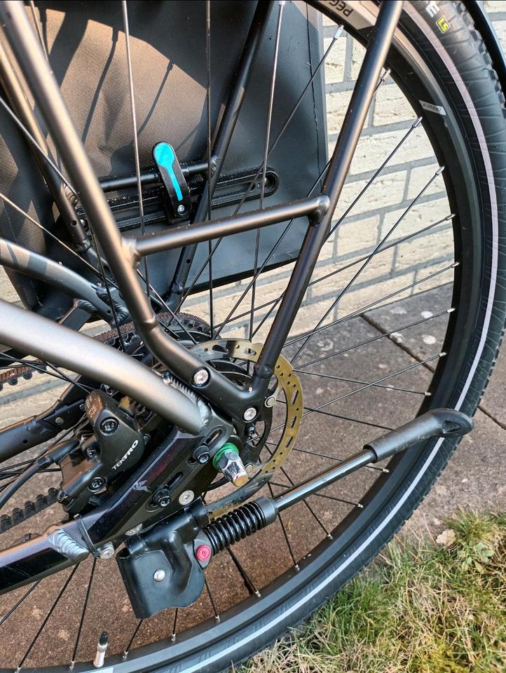 E-Bike Pegasus RH50cm, 28Zoll, inkl. Schloss,Tasche,Spiegel  etc. in Diepholz