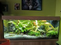 Juwel Aquarium mit Unterschrank und Zubehör Bayern - Karlskron Vorschau