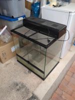 Exo Terra Terrarium 60x45x60+ passendes Compact top Baden-Württemberg - Neunkirchen Vorschau