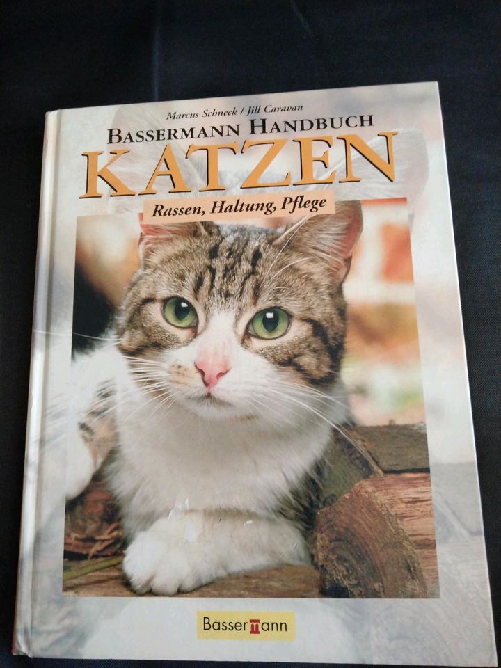 Buch Katzen - Rassen, Haltung, Pflege in Osterholz-Scharmbeck