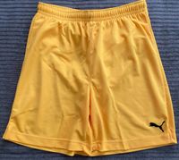 Puma Shorts in Größe 176 Hamburg - Bergedorf Vorschau