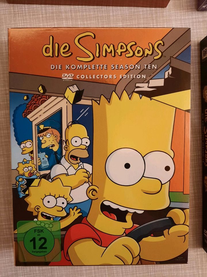 Die Simpsons DVD verschiedene Staffeln in Ludwigshafen