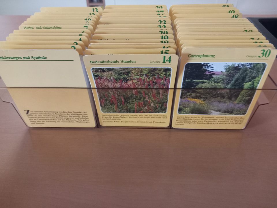 Komplett gesammelte Karten über Gartenpflanzen und Pflanzenpflege in Halblech