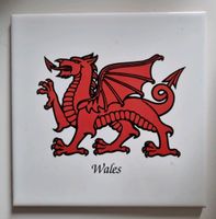 Wales einzelne Fliese Rheinland-Pfalz - Argenthal Vorschau