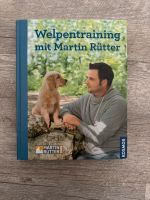 Welpentraining mit Martin Rütter Schleswig-Holstein - Flensburg Vorschau