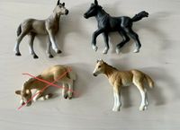 Schleich Pferde Fohlen aus den frühen 2000ern Harburg - Hamburg Hausbruch Vorschau