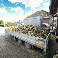 Brennholz Kaminholz Feuerholz Buche und Eiche Schleswig-Holstein - Langwedel Vorschau