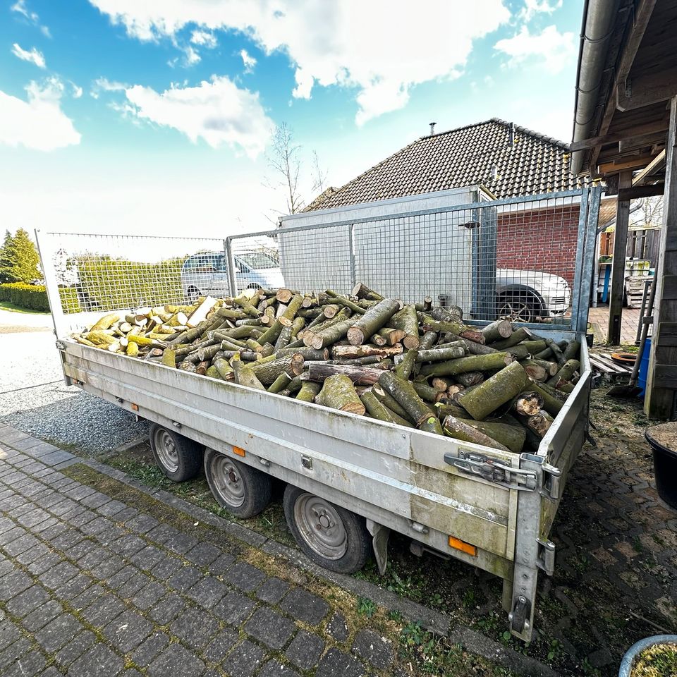 Brennholz Kaminholz Feuerholz Buche und Eiche in Langwedel