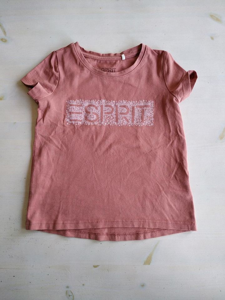 T-Shirt/ Oberteil von Esprit in Ludwigshafen