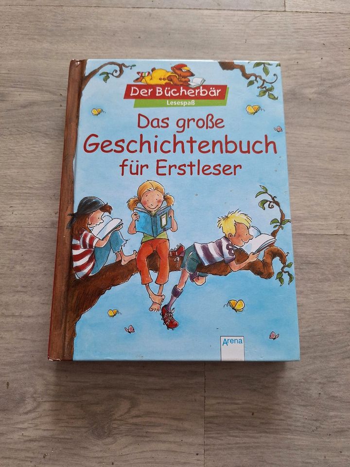 Erstleser buch in Blankenhain