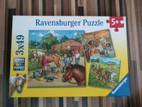 Ravensburger Puzzle 3x49 Teile Niedersachsen - Eschede Vorschau