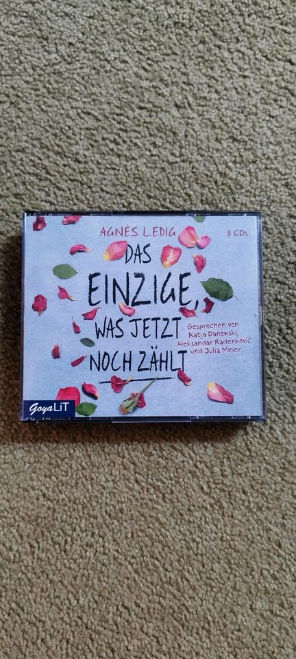 Das einzige, was jetzt noch zählt von Agnes Ledig in Fürth