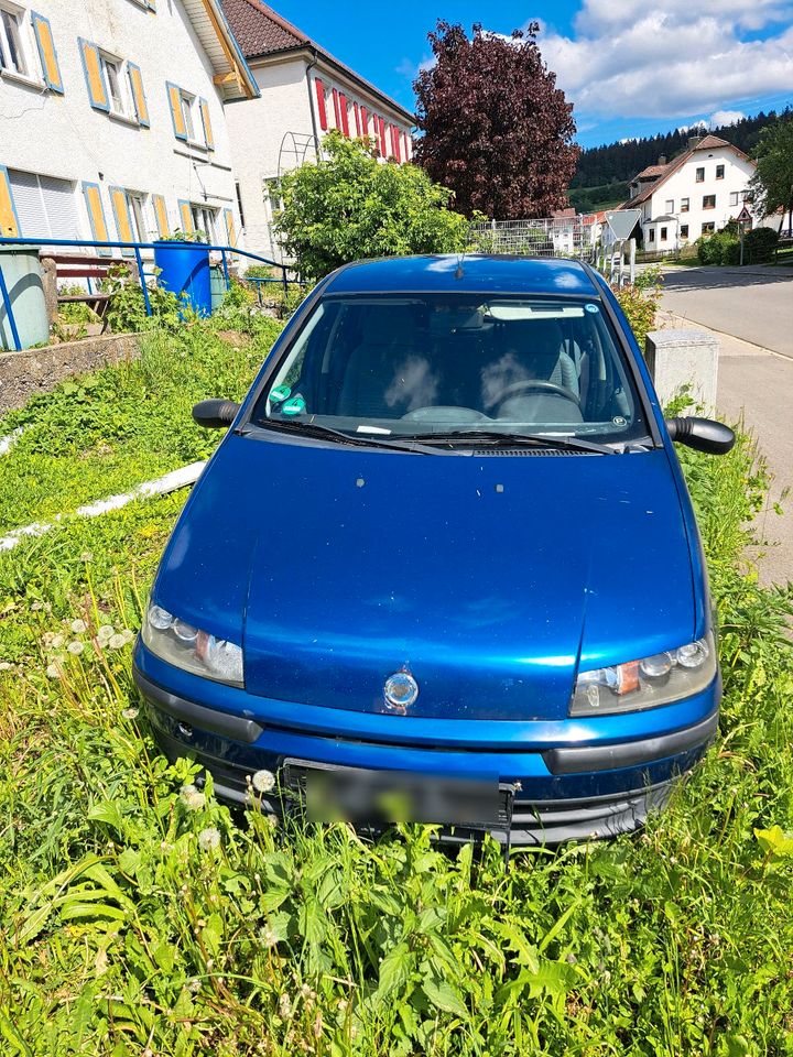 Fiat Punto 1.2 L in Isny im Allgäu