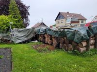 Brennholz Buche Niedersachsen - Bockenem Vorschau