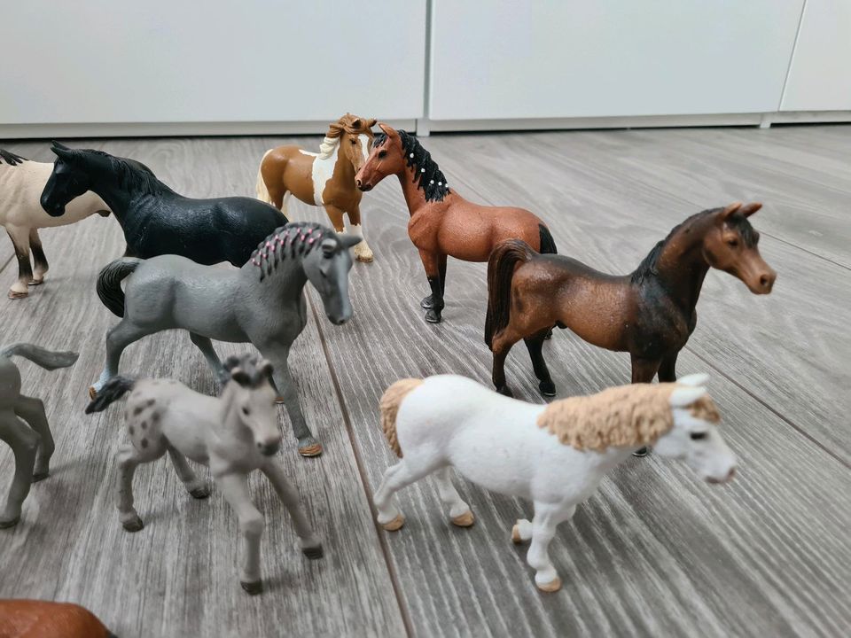 Schleich Pferde Set 15 Pferde Hengst Stute Fohlen in Ahrensfelde