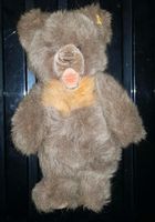 Steiff Teddy aus den 60ern Berlin - Charlottenburg Vorschau