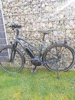 Conway E-Bike 45er Rahmen Nordrhein-Westfalen - Laer Vorschau