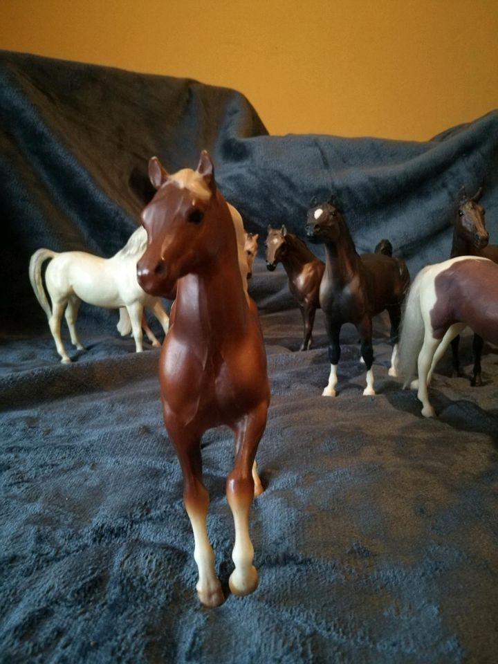 Breyer pferd Classic in Ramsthal