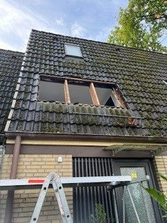 Dach reparaturen/ reinigung Garagendach, Carport, Dachgauben etc. in Dassendorf