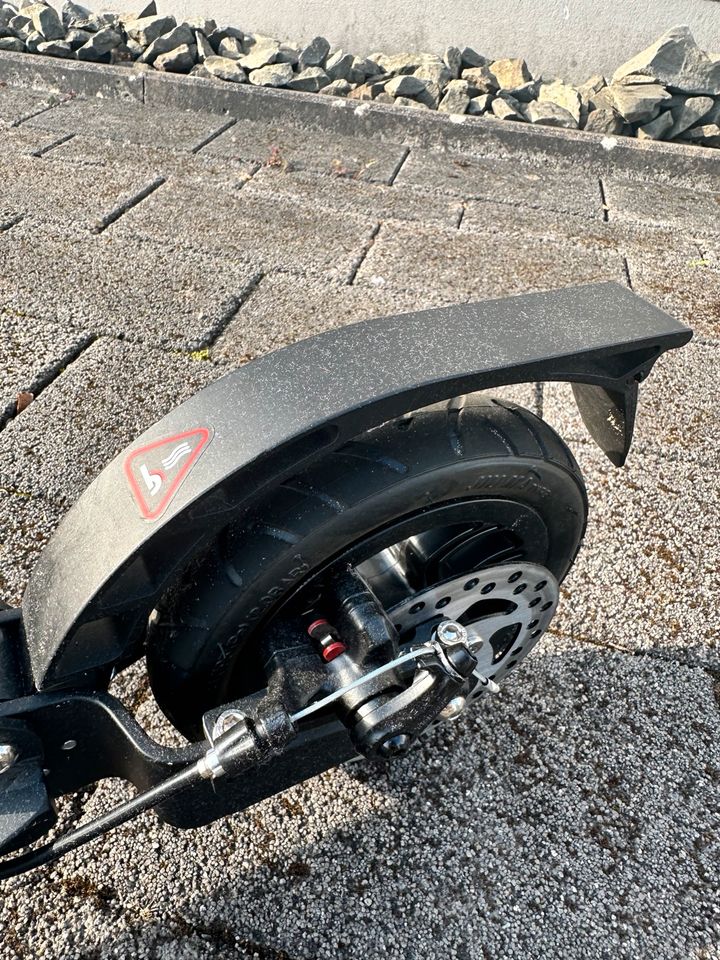 Tretroller Mach1 Kick Scooter ALU City Roller bis 100 kgGroße XXL in Siegen