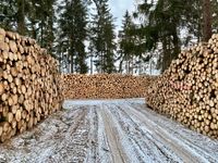 ☘️ Brennholz Nadel/Laubholz Stammholz Schleiz / Hof Thüringen - Schleiz Vorschau