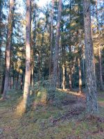 Wald in Geisenfeld (Straßberg) von Privat zu verkaufen Bayern - Geisenfeld Vorschau