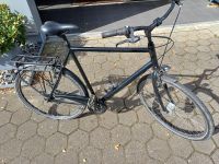 Velo De Ville Herren Tourenrad 28" 65cm Rahmen  7 Gang Shimano Altona - Hamburg Rissen Vorschau