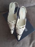 Elegante Damenschuhe von Daniel Hechter, Gr. 38 Dresden - Innere Altstadt Vorschau