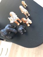 Schleichtiere 3 Paare Bielefeld - Bielefeld (Innenstadt) Vorschau